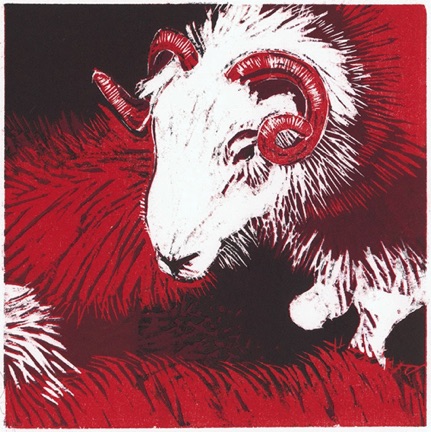 Herdwicks    &copy; 2019 ll