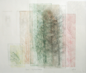 COPSE